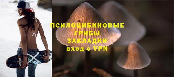 ECSTASY Армянск