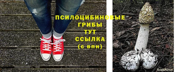 ECSTASY Армянск