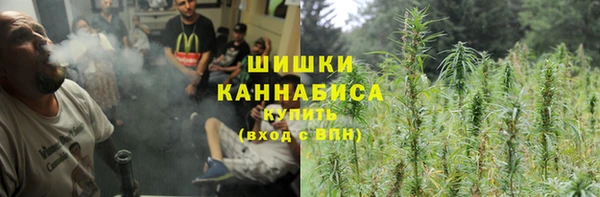 шишки Баксан