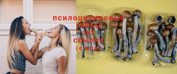 ГАЛЛЮЦИНОГЕННЫЕ ГРИБЫ Аркадак