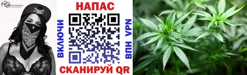 Марихуана Amnesia  купить закладку  MEGA ссылка  Усть-Джегута 